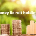 Money 6x Reit Holdings