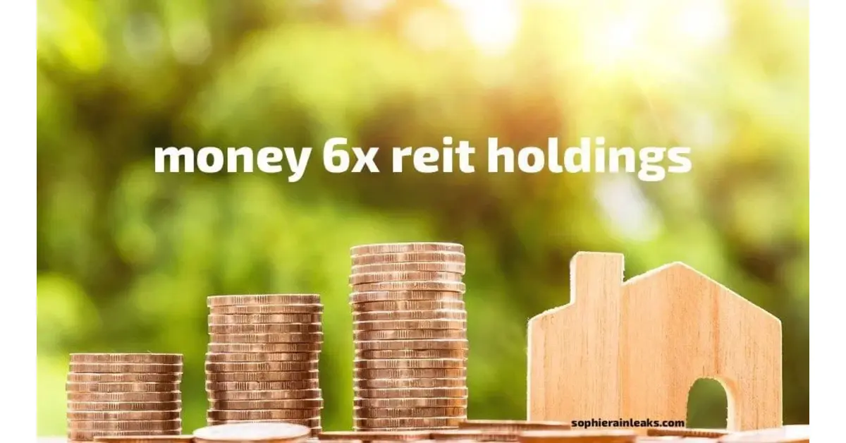 Money 6x Reit Holdings